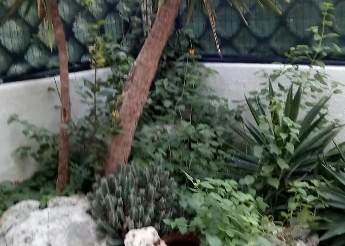 Baia Villa1 Сasa de vacaciones